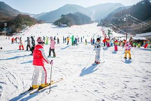 韩国去滑雪