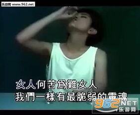 网络情缘在线观看,虚拟世界中的浪漫邂逅