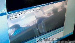驾照考试视频,掌握技巧，轻松通关