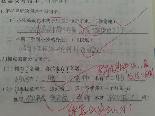 图片造句,从一张图片看世界