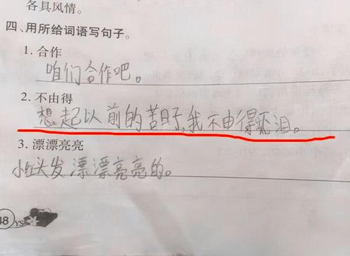 图片造句,从一张图片看世界