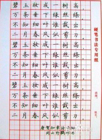 钢笔书法视频,一笔一划展现书法之美