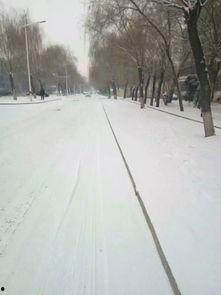 下雪小视频,捕捉下雪瞬间的美好瞬间