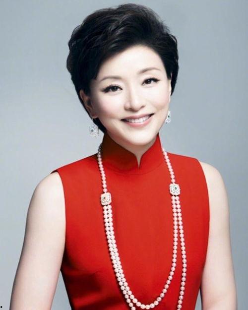 主持人杨澜图片大全,魅力主持，风采无限