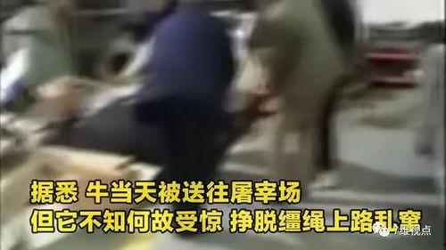 最后一枪床戏,激情床戏背后的生死较量