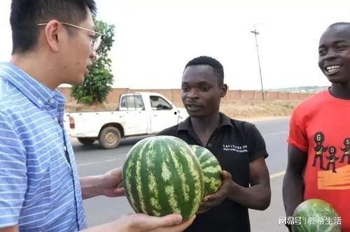 kk表示不服黑料吃瓜,吃瓜群众见证真相大白