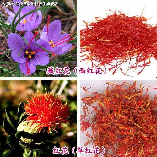 藏红花朵图片大全,千姿百态的花朵画卷