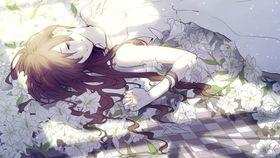 女毒日本,揭秘神秘女性毒品的阴影世界