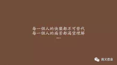 生活很无奈的图片带字,现实与情感的交织