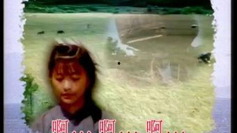 恩情在线观看,温情故事，感人至深