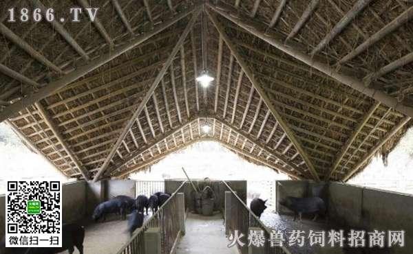 猪圈设计图片大全,创意与实用的完美融合