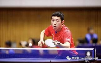 许昕比赛视频,精彩瞬间回顾与战术解析