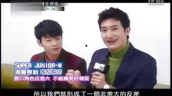 sjm韩国,探索韩国流行音乐的璀璨星河