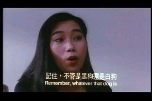 中港丽人电影国语,跨越国界的美丽传奇