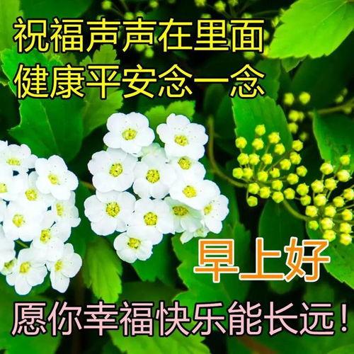 早安新图片大全,捕捉美好瞬间，开启活力一天