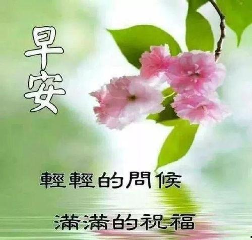 早安新图片大全,捕捉美好瞬间，开启活力一天