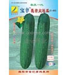 最新高碑店今日吊秧瓜价,行情波动，最新动态一览”