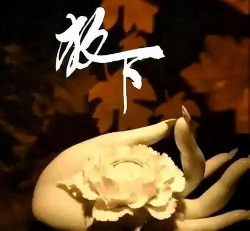 解脱的图片,一幅图解心灵的自由之旅