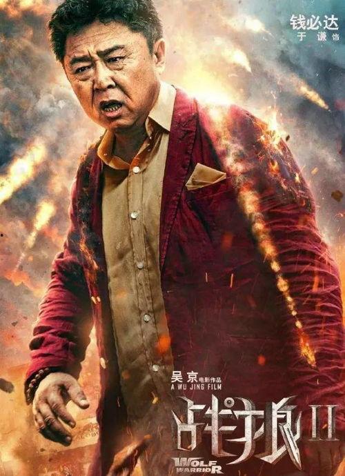 战狼2封面图片大全,燃情岁月，热血征途