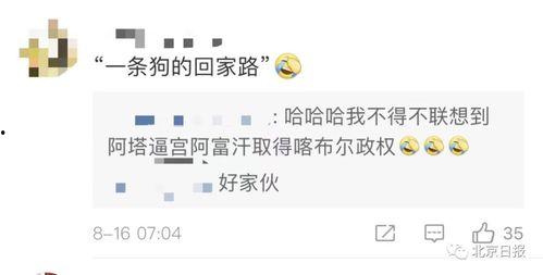 中央6套直播在线观看,精彩赛事，一键观看，尽享体育盛宴
