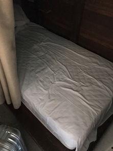 日本摸咪咪,揭秘背后的文化内涵与争议
